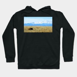 Lone Buffalo watching the Rocky Mountains Hoodie